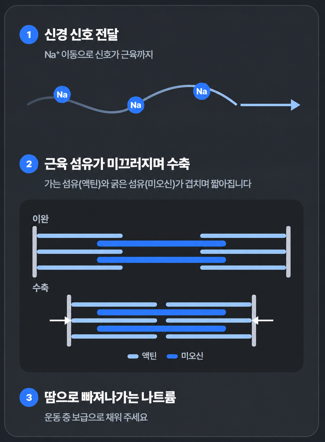 나트륨이 하는 일 — 신경 신호 전달, 근육 섬유의 수축, 땀으로 빠져나가는 나트륨
